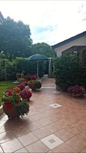 patio z roślinami, parasolem i kwiatami w obiekcie Appartamento Alida w mieście Umag