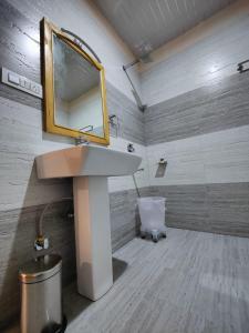 a bathroom with a sink and a mirror on the wall at The Woodpecker Inn Jibhi in Jibhi