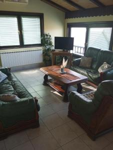 a living room with couches and a coffee table at Guesthouse Pavličić in Drežnik Grad