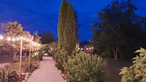 un jardín por la noche con un árbol y luces en Maison Egalité, en Melay