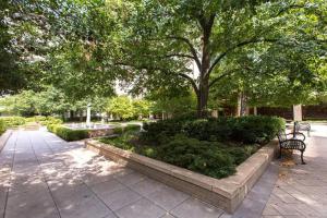 een park met twee banken en een boom en struiken bij Modern condo at Crystal City in Arlington