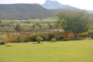 a yard with a fence and a field with mountains at Sunflower Cottage in Herbertsdale