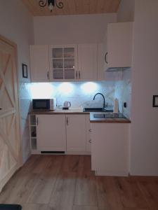 Kuchyňa alebo kuchynka v ubytovaní Apartament we Wsi