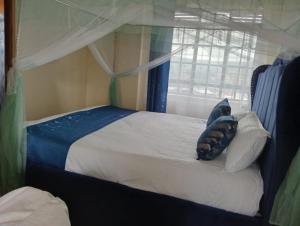 Schlafzimmer mit einem Bett mit einem Kissen und einem Fenster in der Unterkunft Bomet studio/bedsitter next to Chelsa Academy in Bomet