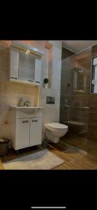 y baño con aseo, lavabo y ducha. en Iskra na Zlataru, en Nova Varoš