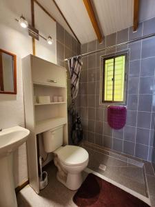 a bathroom with a toilet and a sink and a window at Cabaña Individual con piscina en parcela de Quillón in Quillón