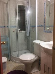 een badkamer met een douche, een toilet en een wastafel bij Arriendo casa Pucón in Pucón