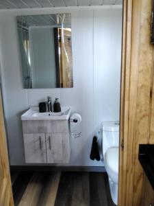 ein Bad mit einem Waschbecken und einem WC in der Unterkunft Cabaña 7 Islas in Ilque