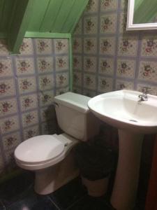 een badkamer met een toilet en een wastafel bij Arriendo casa Pucón in Pucón