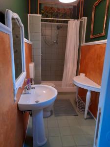 皮索涅的住宿－B&B L'Ortensia，一间带水槽、卫生间和淋浴的浴室