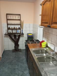 cocina con fregadero y encimera en Guesthouse Pavličić en Drežnik Grad