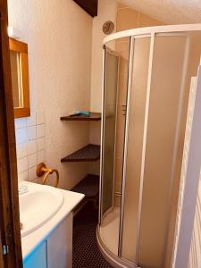 y baño con ducha y lavamanos. en Chalet 10 couchages à 100m des pistes et commerces en Les Angles