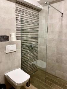 a bathroom with a toilet and a glass shower at Short stay accommodation in Dolno Nerezi