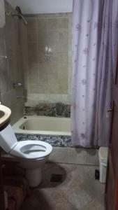 y baño con aseo y cortina de ducha. en Residencia zona sierras chicas (casa) El talar en Mendiolaza