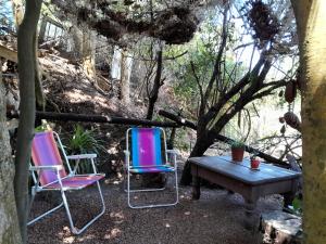 two chairs and a picnic table in the woods at Amor amor in San Luis