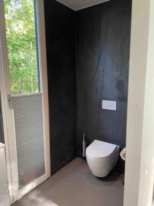 ein Bad mit einem weißen WC und einem Fenster in der Unterkunft Chalet goudmeer LUXURY AIRCO WIFI 3 bedrooms 2 bathrooms in Oosterwolde