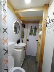 een badkamer met een toilet en een wastafel bij Kuca za odmor Lola in Ivanjica