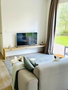 ein Wohnzimmer mit einem Sofa und einem Flachbild-TV in der Unterkunft Chalet goudmeer LUXURY AIRCO WIFI 3 bedrooms 2 bathrooms in Oosterwolde