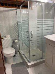 a bathroom with a shower and a toilet and a sink at Villa Buendía in Puerto del Carmen +12 photos