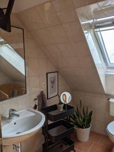 een badkamer met een wastafel en een spiegel bij Ferienhaus Lille Strandhus in Holnishof