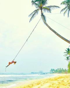 a person hanging from a palm tree on a beach at THE CHILLI STUDIO APARTMENT in Unawatuna