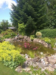 a garden with a pond with flowers and rocks at Historisches Haus Unkelbach in Irlenborn +14 photos