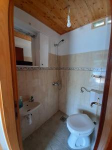 a bathroom with a toilet and a sink at House ,, Plavi biser '' in Gornje Selo