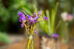 un vaso di vetro pieno di fiori viola su un tavolo di Casa de Palos Boutique a Tarapoto