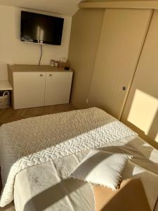 a bedroom with a bed and a flat screen tv at Studio tout confort Annecy in Annecy