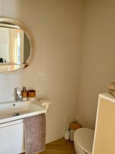 La salle de bains est pourvue d'un lavabo, de toilettes et d'un miroir. dans l'établissement Studio tout confort Annecy, à Annecy