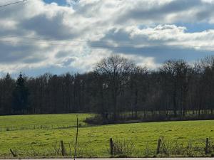 a field of green grass with trees and a fence at Insolite in Saint-Émiland +1 photo