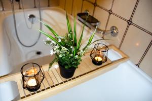 ein Badezimmer mit Kerzen, einer Pflanze und einer Badewanne in der Unterkunft MANY'S historical city central APARTMENTS in Zürich