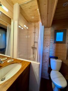 uma casa de banho com um WC, um lavatório e um chuveiro em Chalet St Lary Pla d'Adet em Saint-Lary-Soulan