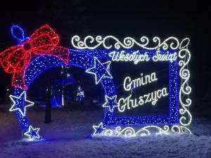 a house covered in christmas lights in the snow at Apartament Dominik in Głuszyca