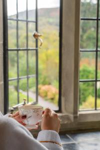 Fotografie z fotogalerie ubytování Ard na Sidhe Country House Hotel v destinaci Killorglin
