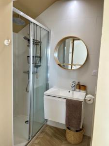 a bathroom with a sink and a shower at Studio tout confort Annecy in Annecy