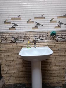 a bathroom sink with birds on a brick wall at JPM Hostel in Varanasi