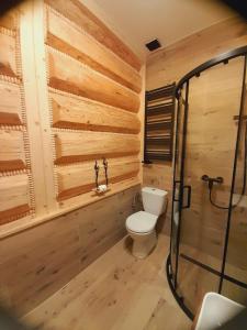 Kúpeľňa v ubytovaní Apartament we Wsi