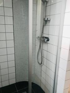 y baño con ducha con cabezal de ducha. en Arnhög Farm, en Borrby