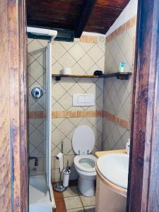 małą łazienkę z toaletą i umywalką w obiekcie Il Colle - Apartment Giglio we Florencji