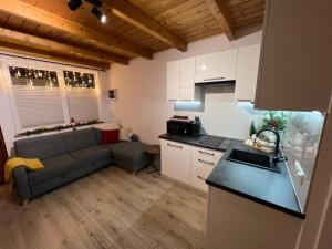 a kitchen and a living room with a couch and a table at Domek nad Popradem in Muszyna