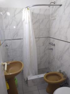 ein Badezimmer mit Dusche, Toilette und Waschbecken in der Unterkunft Depto frente a Shopping Aldrey in Mar del Plata