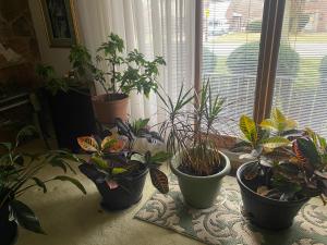 Billede fra billedgalleriet på Grandma Sang's Bed & Breakfast i Lower Burrell