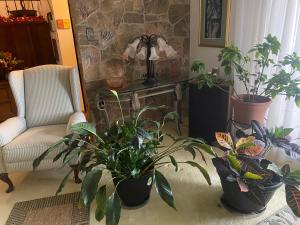 Billede fra billedgalleriet på Grandma Sang's Bed & Breakfast i Lower Burrell