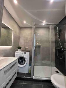 ein Badezimmer mit einer Waschmaschine und einem Waschbecken in der Unterkunft Adorable Appartement Strasbourg NEUDORF PARKING SOUS SOL in Straßburg