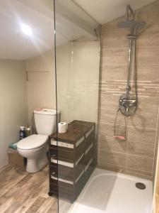 CersayにあるMaison de charme à la campagneのトイレとガラスのシャワー付きのバスルーム +7枚の写真