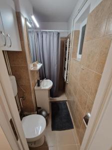 シギショアラにあるUrban Cozy Apartmentsのトイレと洗面台のある小さなバスルーム +9枚の写真