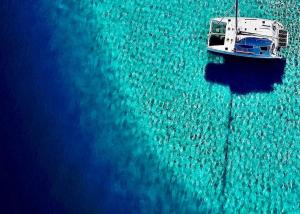Kép Tahiti Private Catamaran szállásáról Papeete-ben a galériában