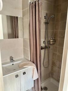 La salle de bains est pourvue d'un rideau de douche et d'un lavabo. dans l'établissement Appartement 4 à 6 pers Annecy, à Annecy