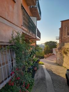 um edifício com plantas e flores ao lado em 8380 Morellino little house em Montemerano